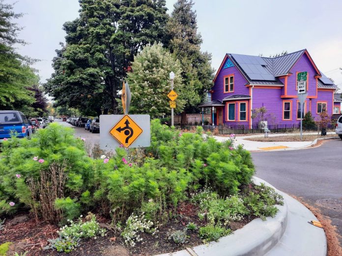 A roundabout is filled with green plants and is surrounded by fresh concrete and new curb curb cuts. It's a residential neighborhood with a purple single family house on the corner.