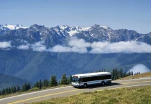 Special Summer Transit Options Increase Multimodal Access Across Puget Sound