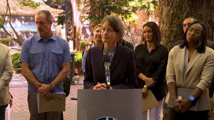 Nelson stands at a lectern with a row of providers standing behind her.