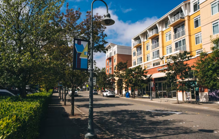 A tree lined street in Mercer Island's town center, with a four story building on the other side of the street