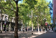 ‘Existential’ Budget Cut Would Wipe Out State Urban Forestry Program